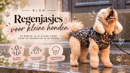regenwandeling hond liu jo pets regenjas