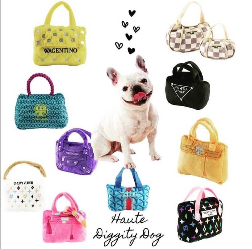 Haute Diggity Dog