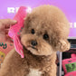 Beiß mich | Rosa Retro Telefon
