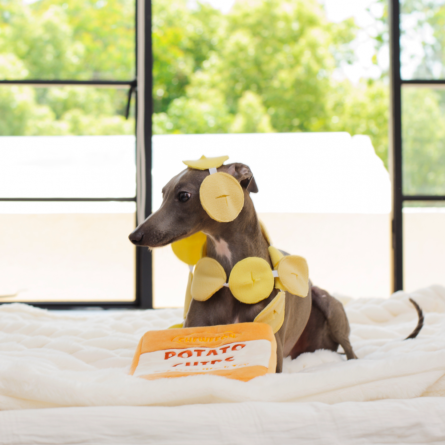 CHEWFFON – Ritsel Aardappelchips Hondensnuffelspeelgoed