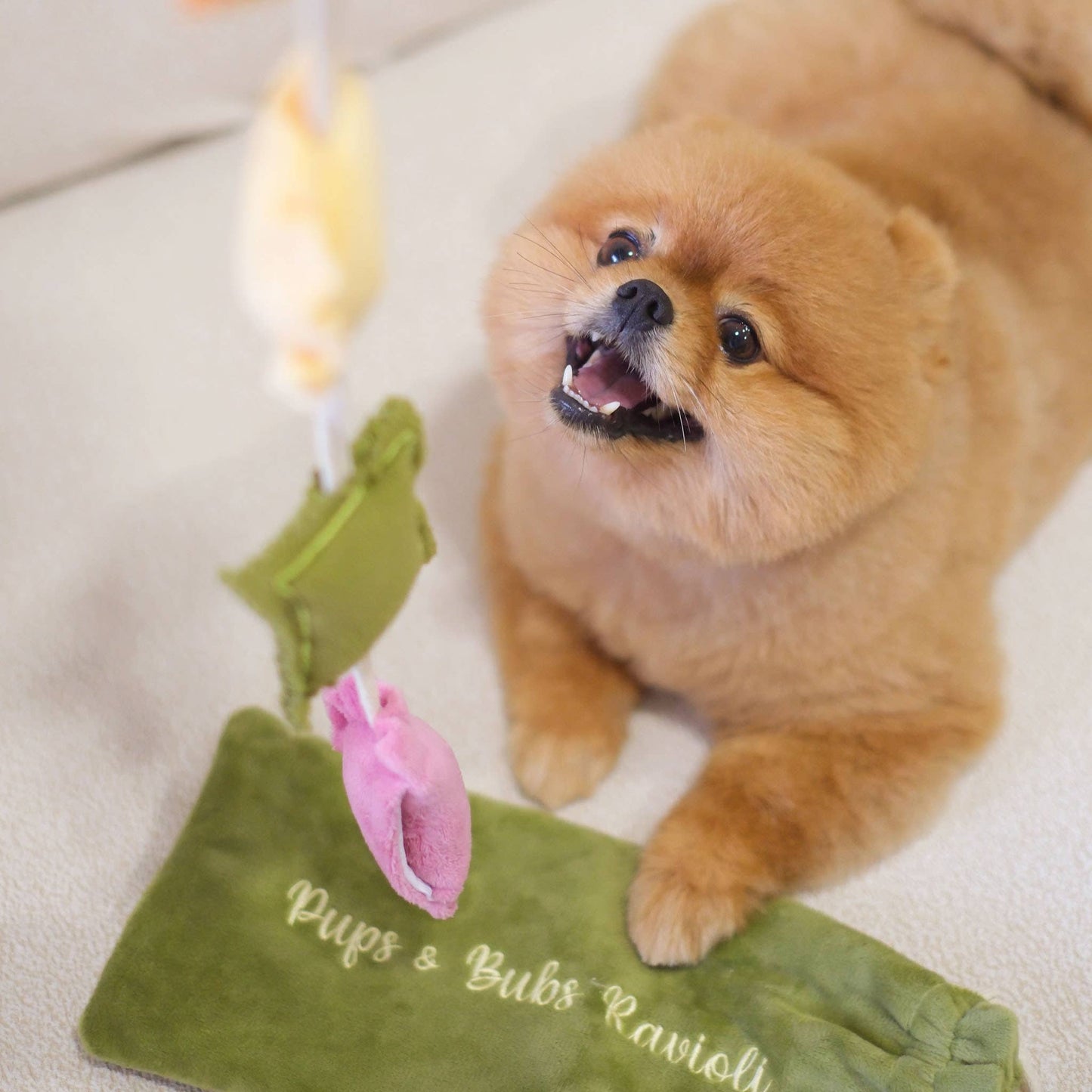 Pups & Bubs - Ravioli Neuswerk Verrijkingsspeelgoed | Piep | Knisper