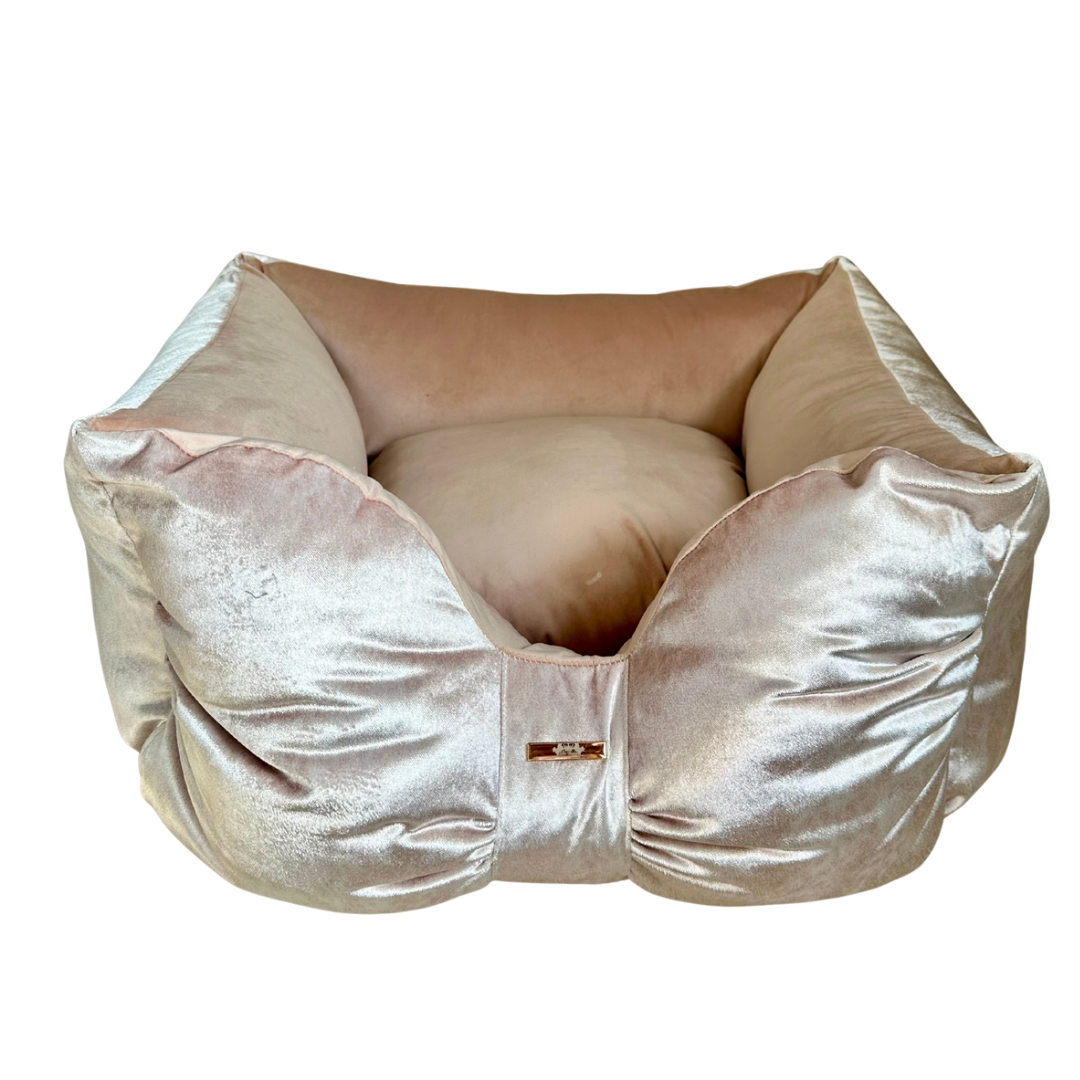 Elite Puppy | Mand Champagne Strik