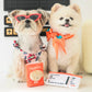Bite Me | Pet Passport & Ticket Nosework (snuffelspeelgoed)