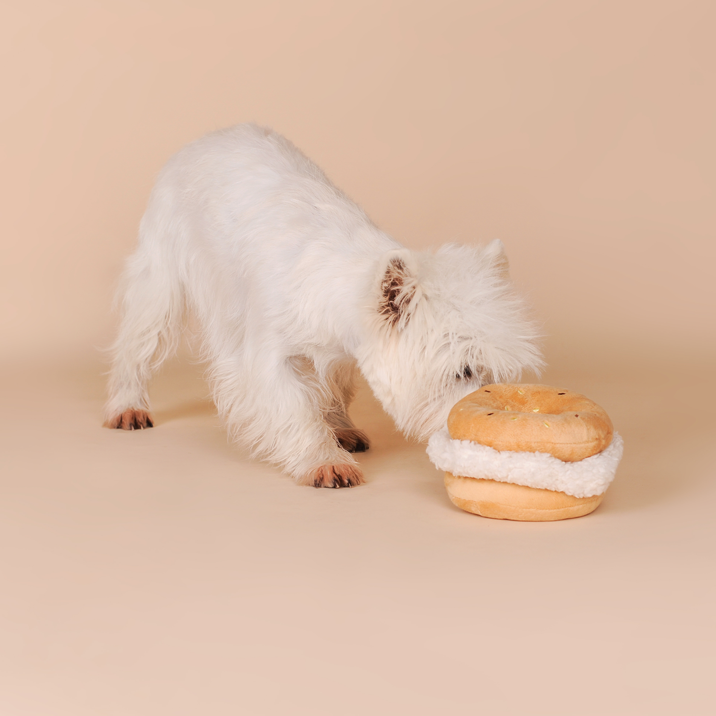 CHEWFFON – Bagel Pluche Piepend Hondenspeelgoed