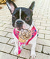 Cooka´s Cookies | Kisses Treats - Rund