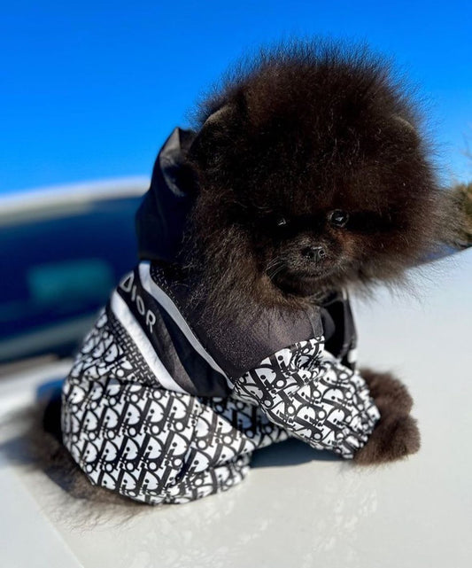 Honden regenjasje Dogior