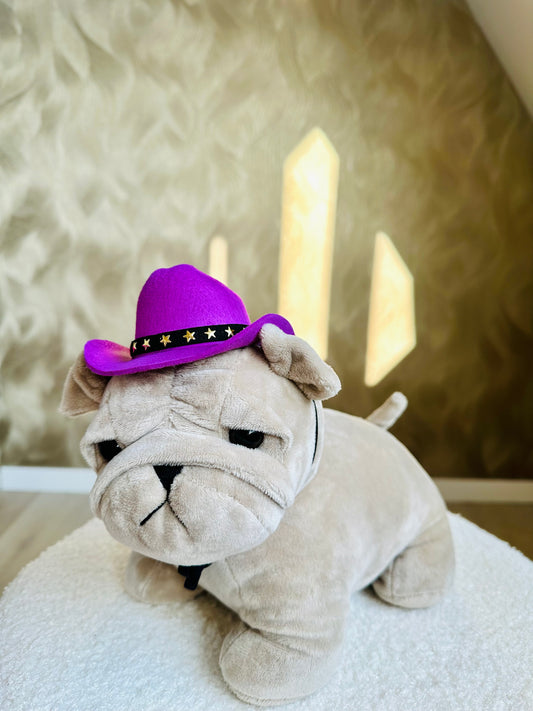 Honden Cowboy Hoedje