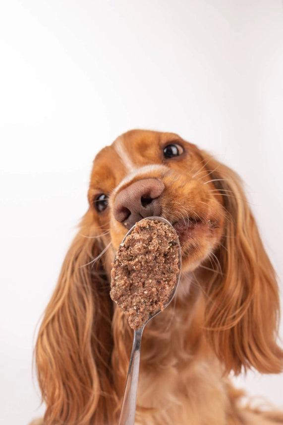 Cooka´s Cookies | Natvoer voor honden - Varken