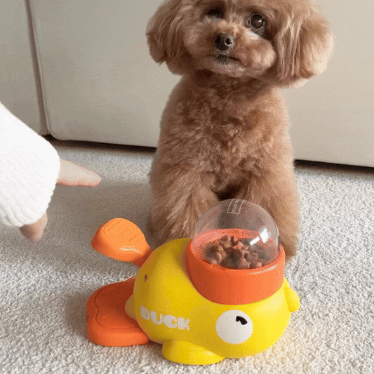 Eend Interactief Speelgoed – 2-in-1 Slowfeeder en Hondenpuzzel
