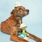 The Furryfolks | Snuffelspeelgoed - Tennis Hooman