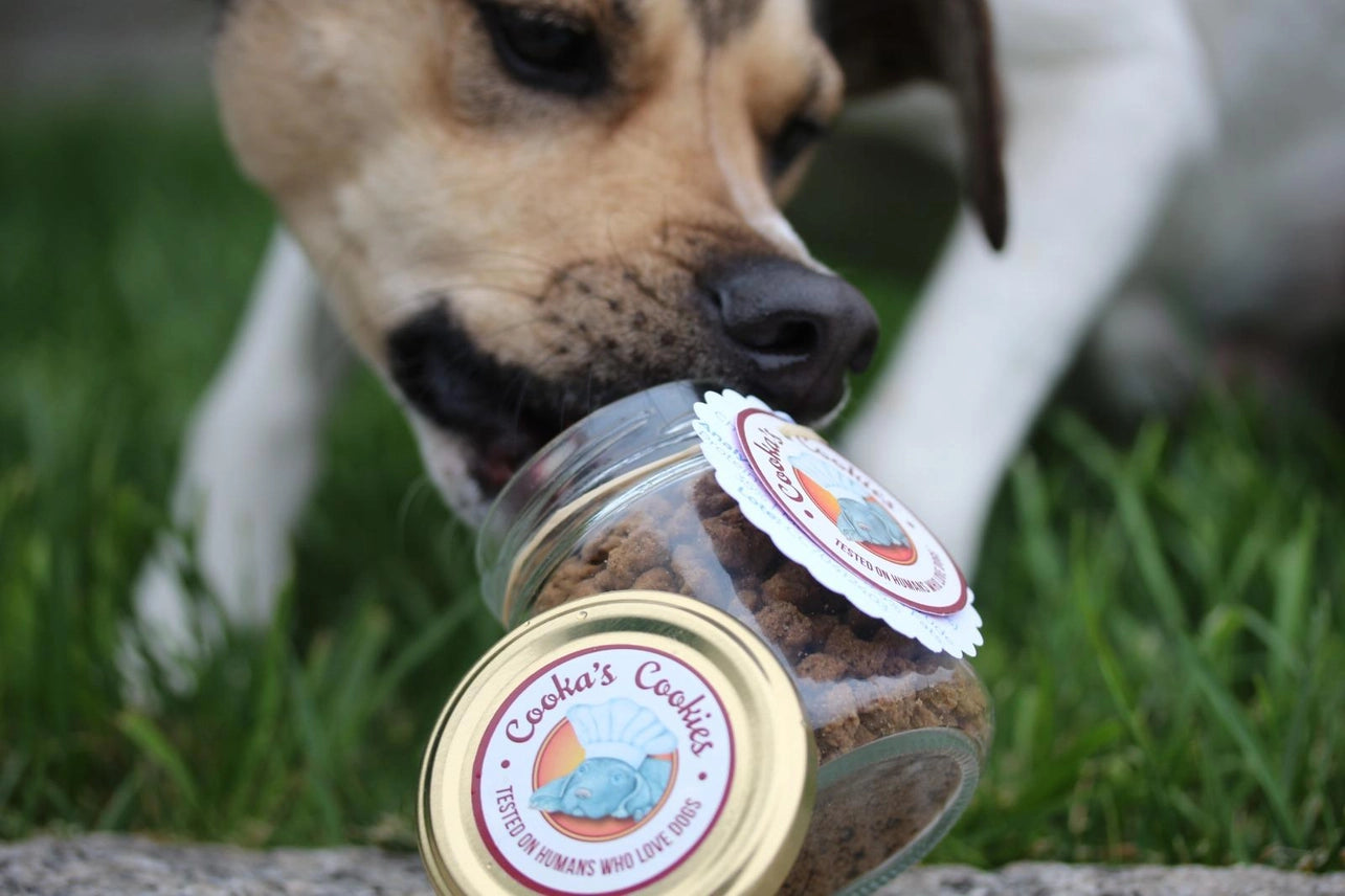 Cooka’s Cookies | Chicken Crumble Bites – Natuurlijke maaltijdtopper voor honden en katten