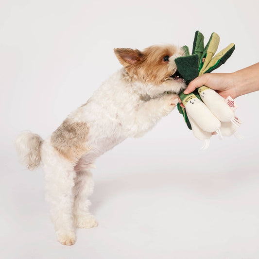 The Furryfolks | Snuffelspeelgoed - Prei