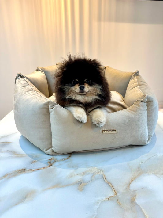 Elite Puppy | Shell Mand Velvet Beige