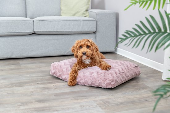 Hondenkussen Loki Roze