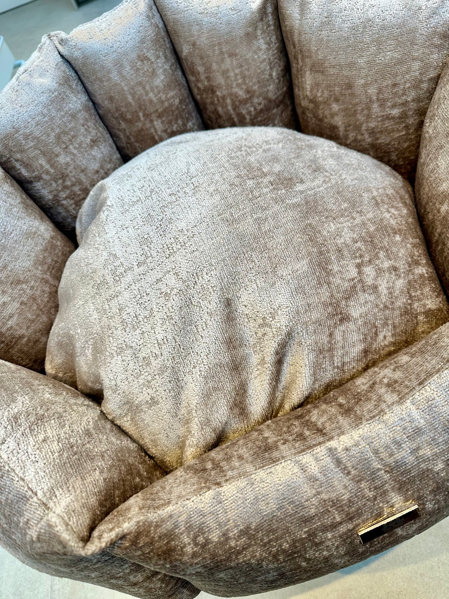 Elite Puppy | Shell Mand Soft Velvet Beige