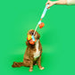 The Furryfolks | Snuffel en Trekspeelgoed - Vishengel