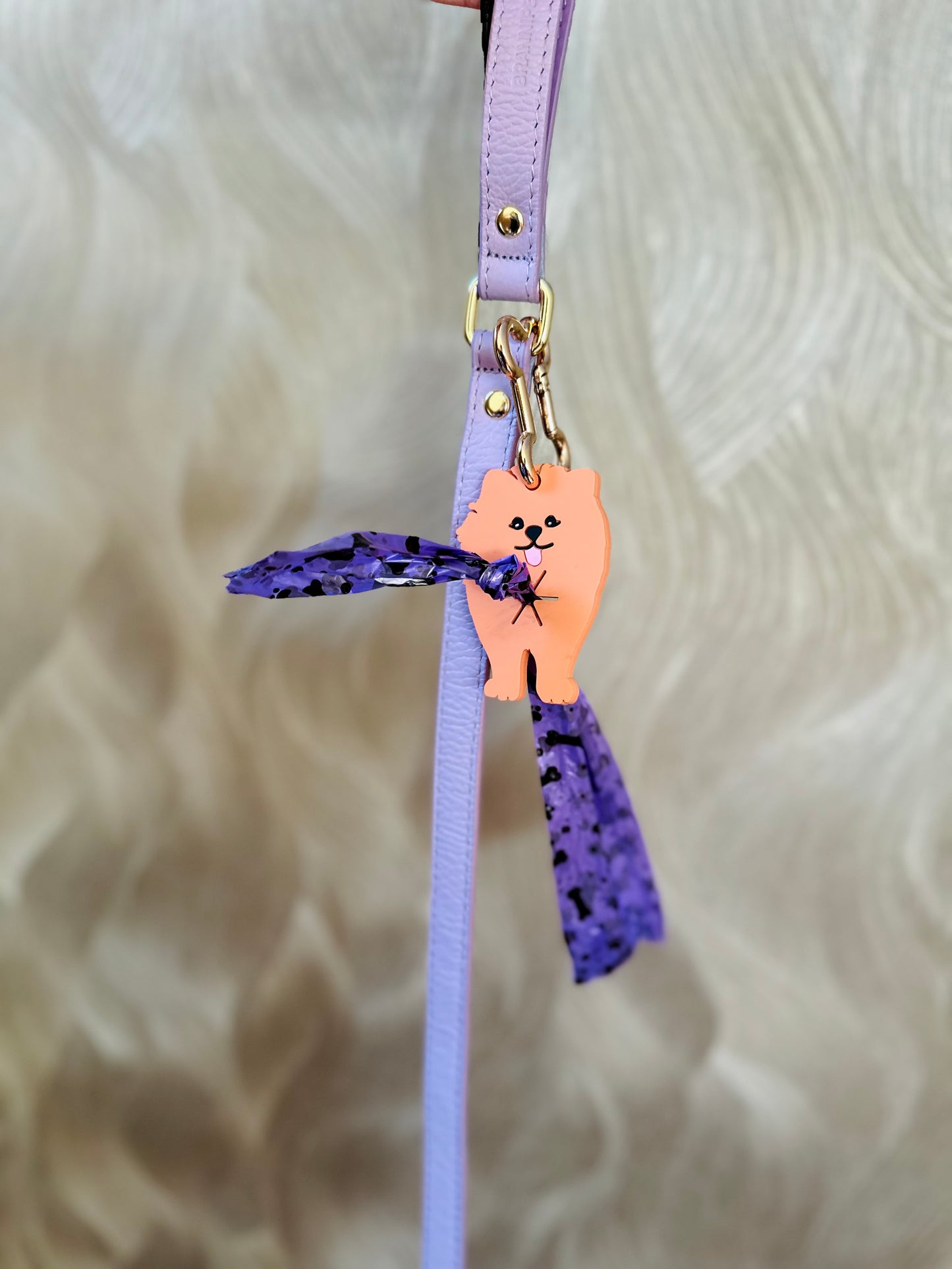 Floofs & Cookies | Poopy Loopy Mister Pointy Pomeranian