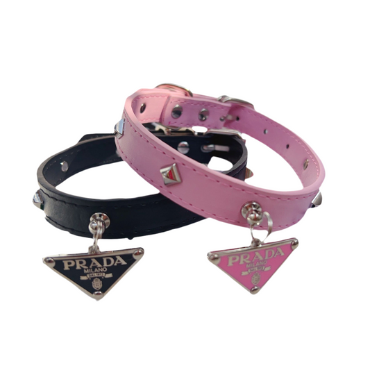 Halsband Pawda