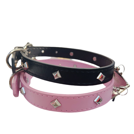 Halsband Pawda