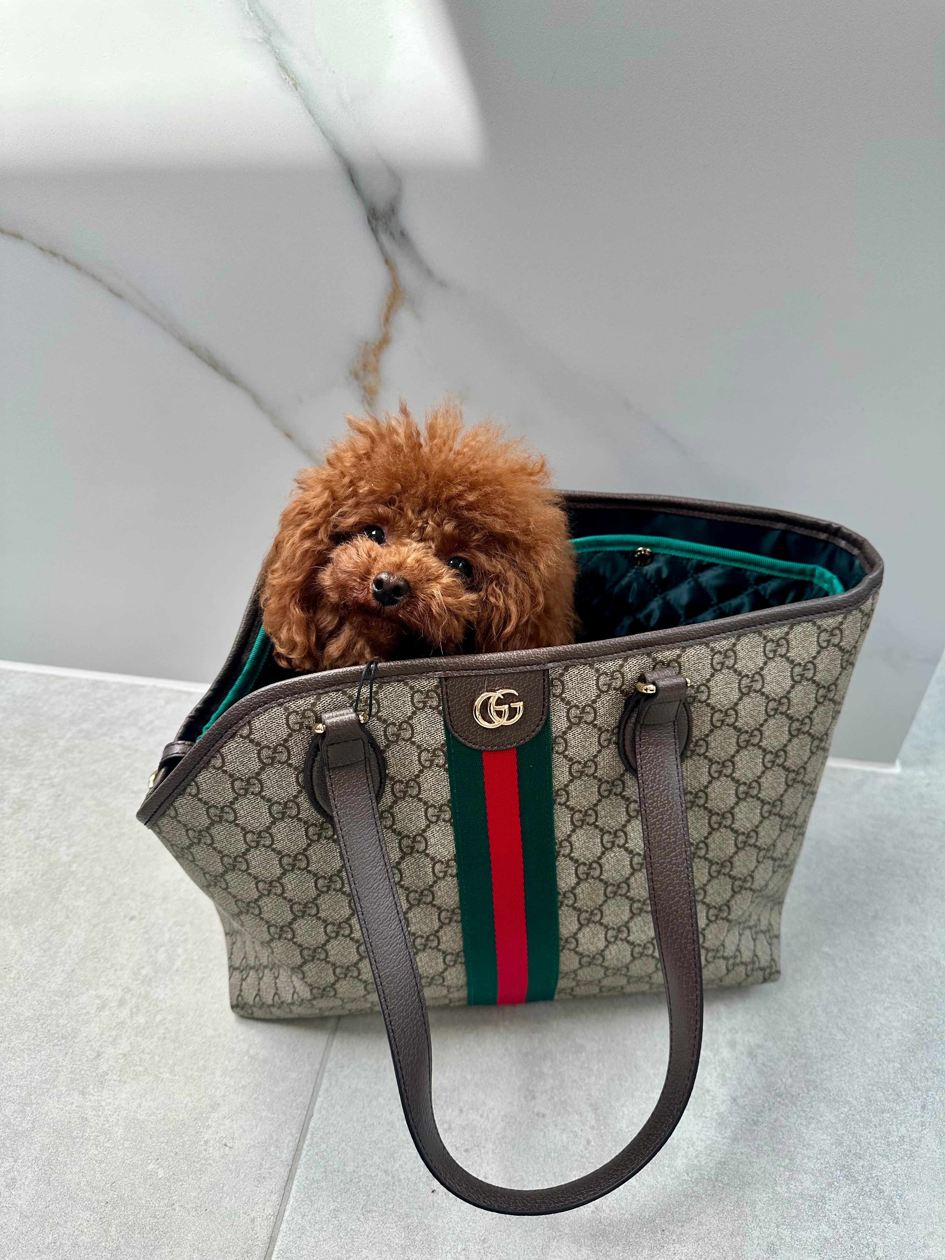 Luxe Beige Hondendraagtas met Stripe Details