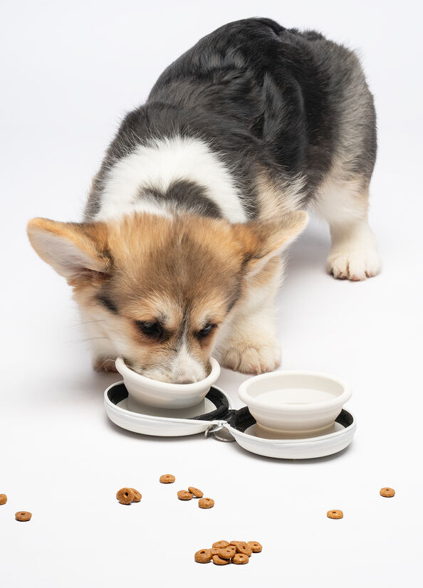 Liu Jo Pets | Travel Bowl - Wit