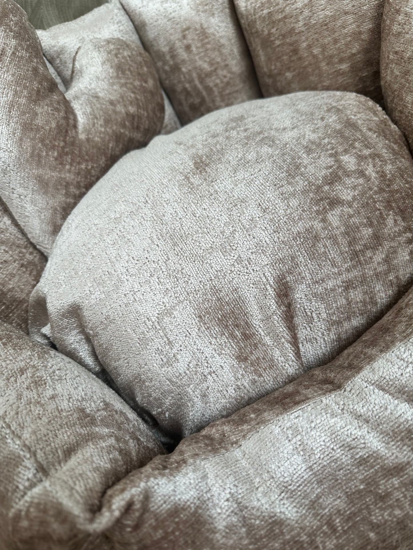 Elite Puppy | Shell Mand Soft Velvet Beige