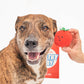 The Furryfolks | Snuffel en Trekspeelgoed - Cherry Tomaatjes