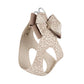 Susan Lanci - Baby Cheetah with Gold Giltmore Double Nouveau Bow Step In Harness