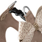 Susan Lanci | Baby Cheetah with Gold Giltmore Nouveau Bow Step In Harness - Fawn