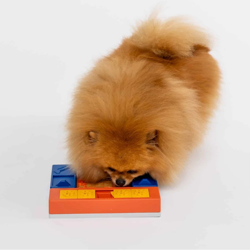 Pawzler | Hondenpuzzel Beginner Set