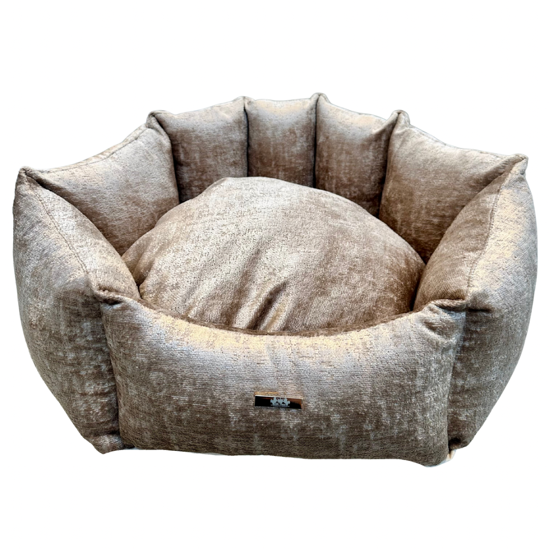 Elite Puppy | Shell Mand Soft Velvet Beige