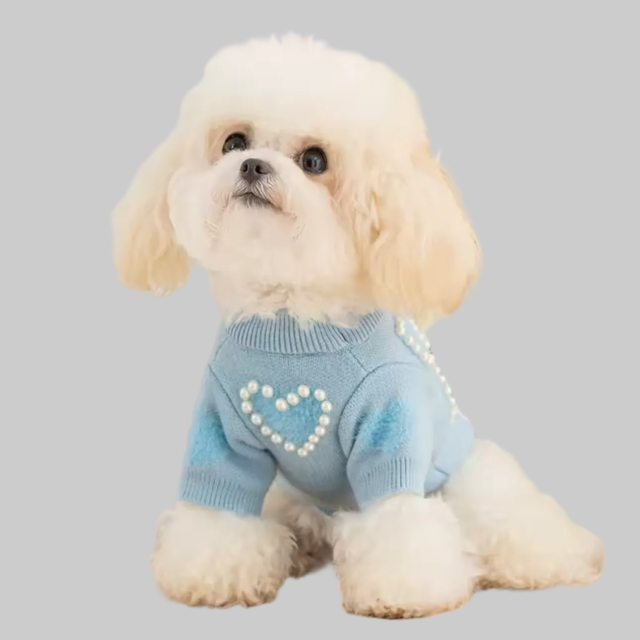 Hondentrui Hartjes Parels Blauw