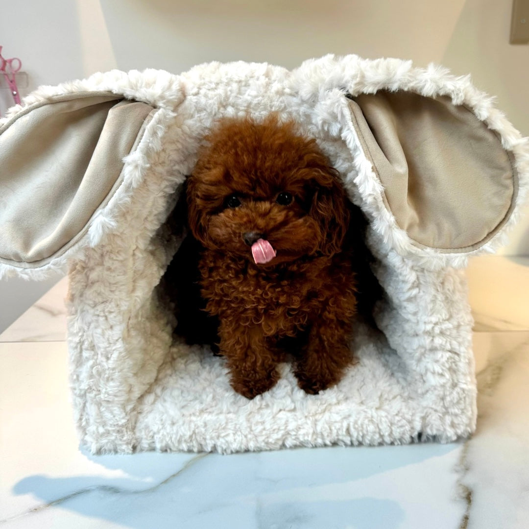 Bau Baru Tunnel Bunny Bear Panna