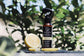 Always Your Friend - Citronella Summer Lotion Skin Protection