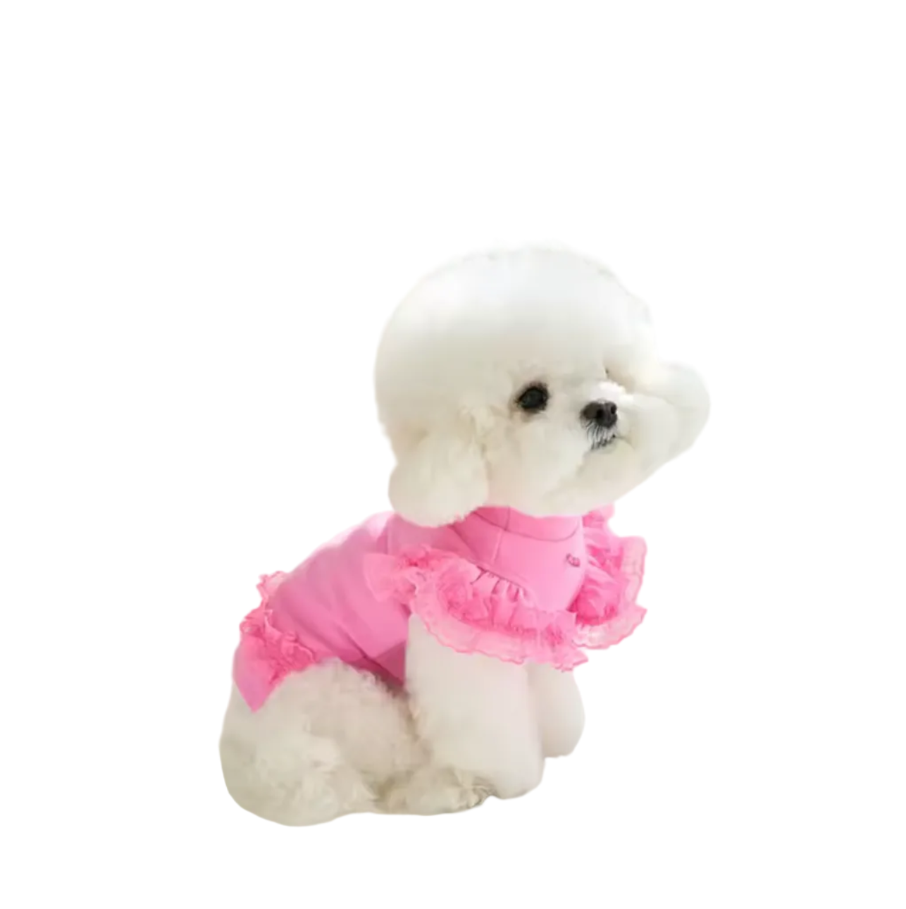 Honden Shirt met Kant & Hartjesdetail Roze