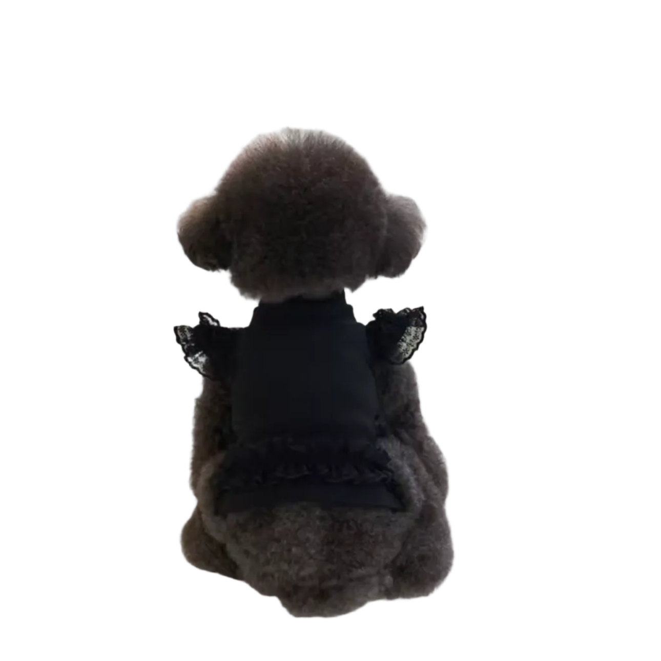 Honden Shirt met Kant & Hartjesdetail Zwart