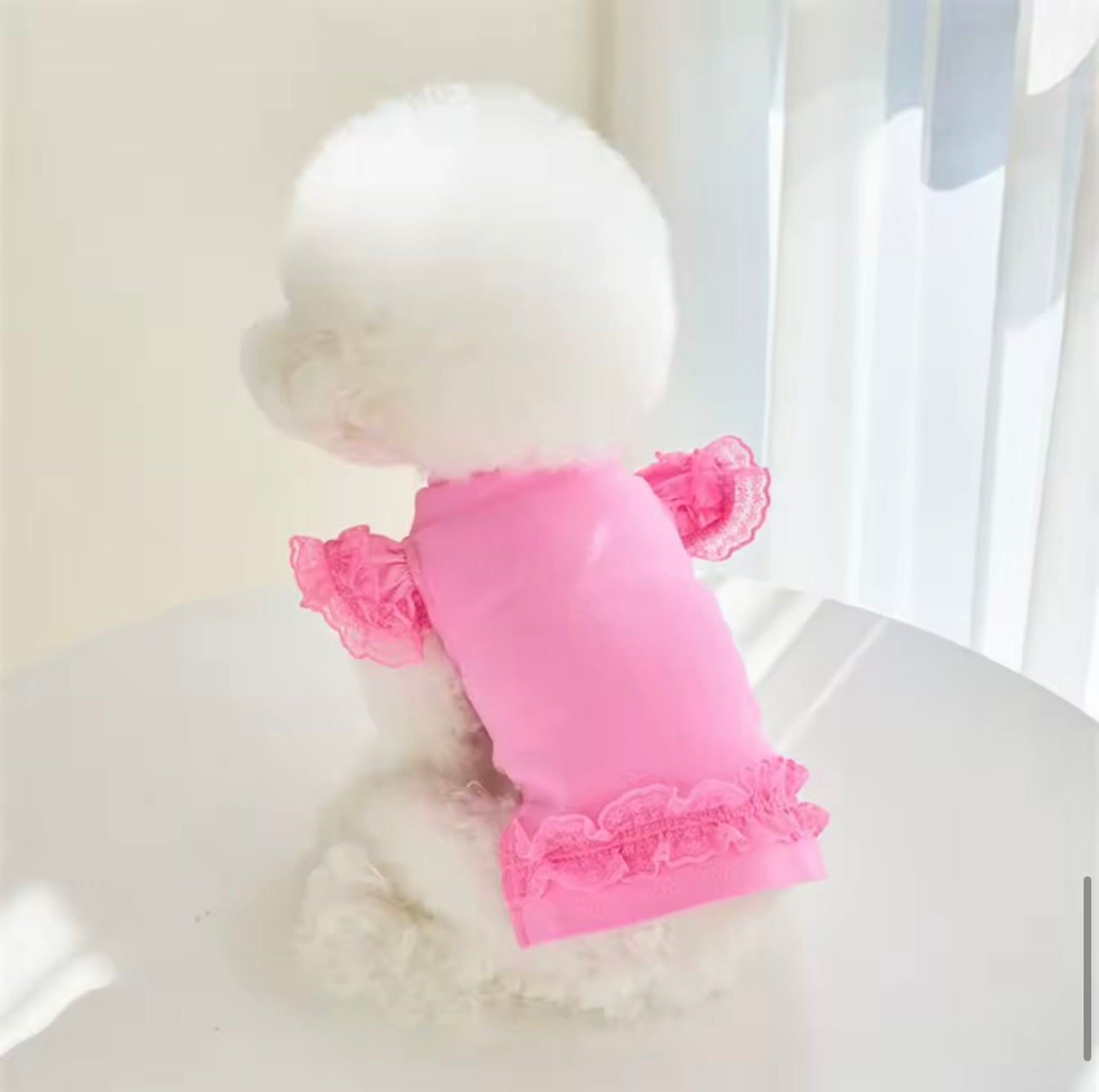 Honden Shirt met Kant & Hartjesdetail Roze