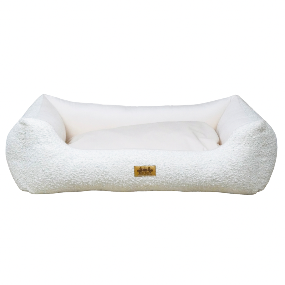 Elite Puppy | Mand Bouclé
