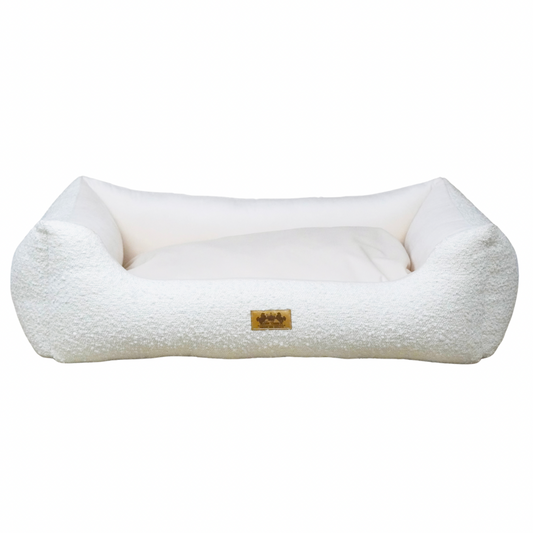Elite Puppy | Mand Bouclé
