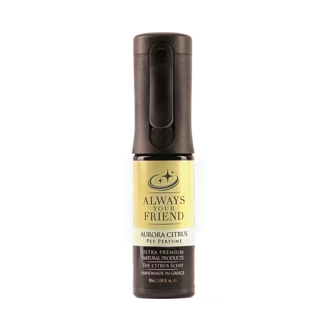 Always Your Friend – Aurora Citrus Parfum