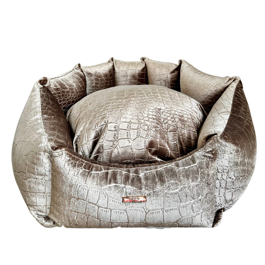 Elite Puppy | Shell Mand Velvet Croco Taupe
