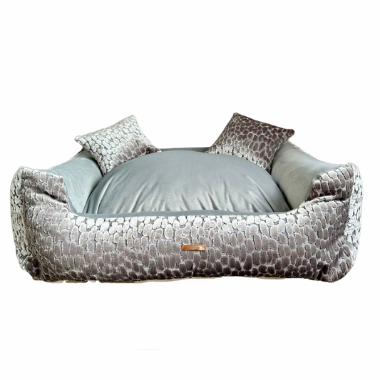 Elite Puppy | Mand Velvet Speranza Grey