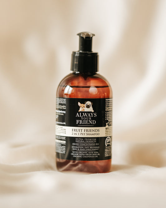 Always Your Friend - Fruit & Friends 2-1 Shampoo