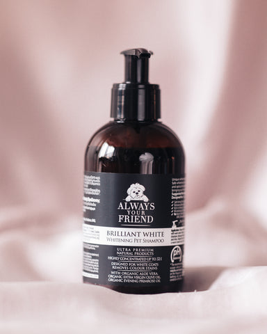 Always Your Friend - Brilliant White Shampoo