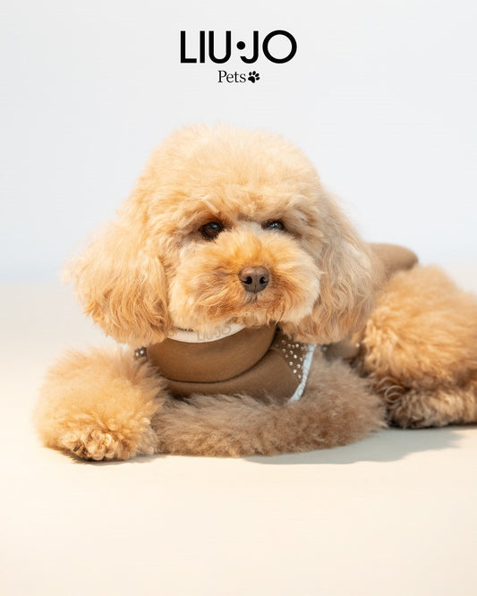 Liu Jo Pets | Sweater met Strassteentjes – Caramel