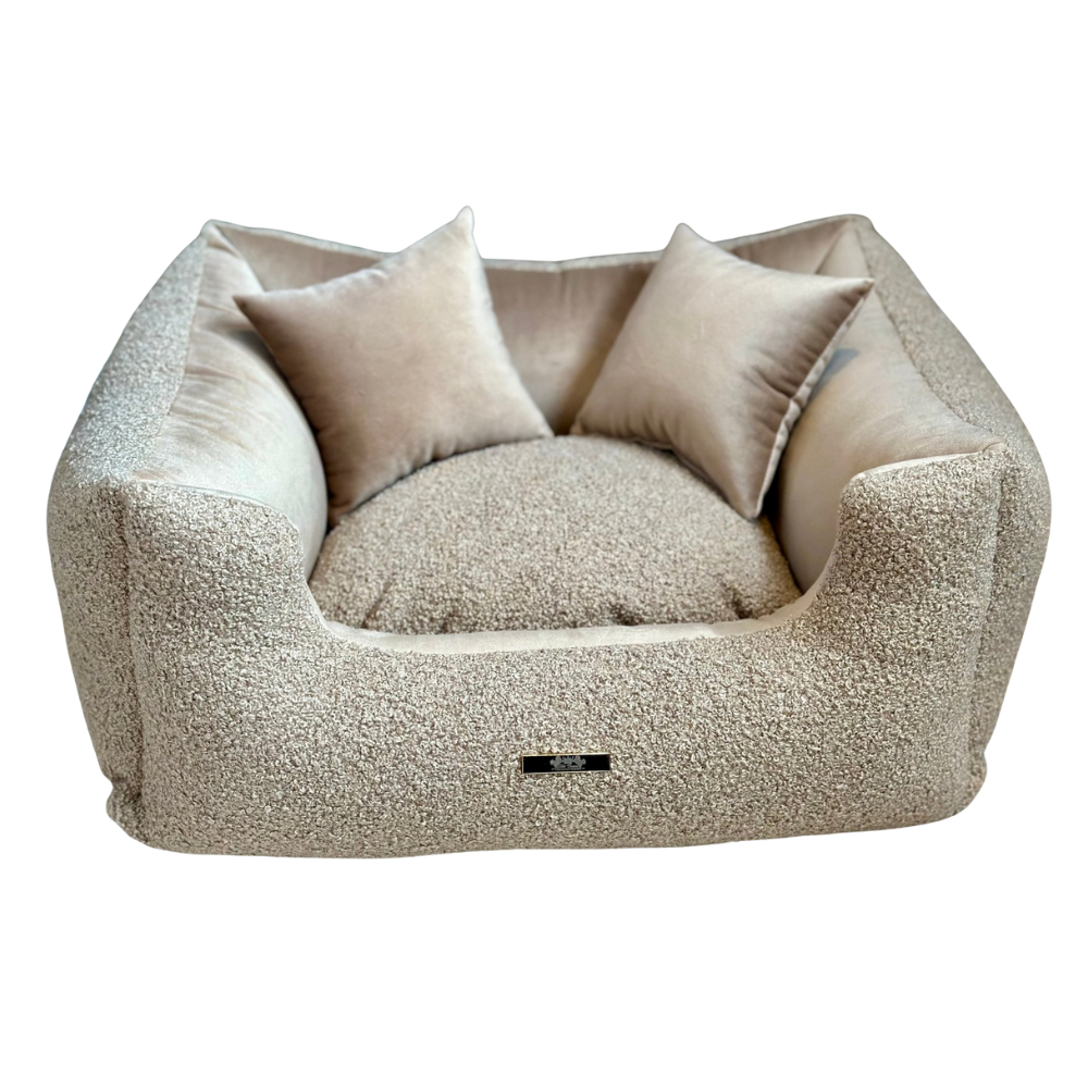 Elite Puppy | Mand Teddy