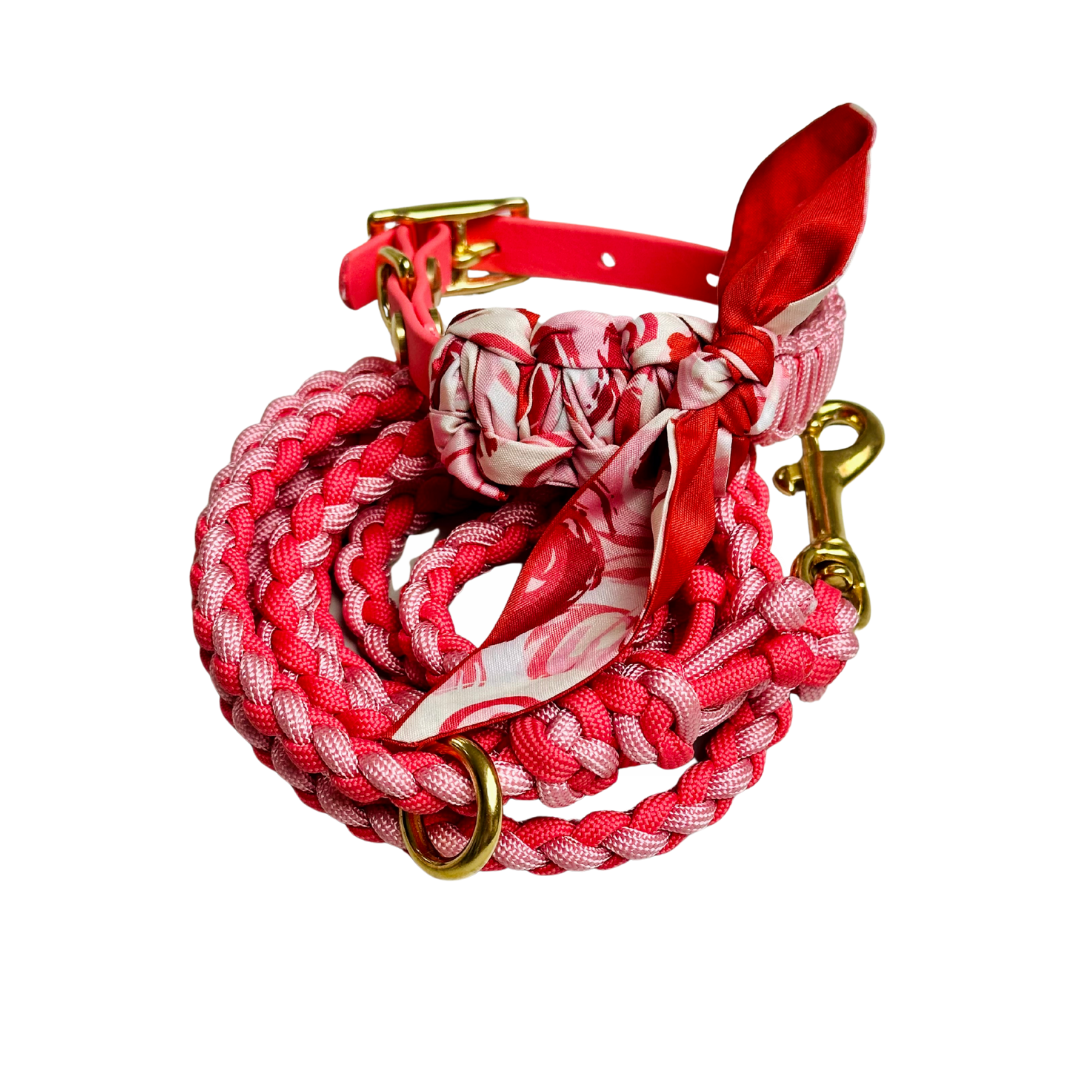 Nova halsband met bijpassende lijn - Strawberry