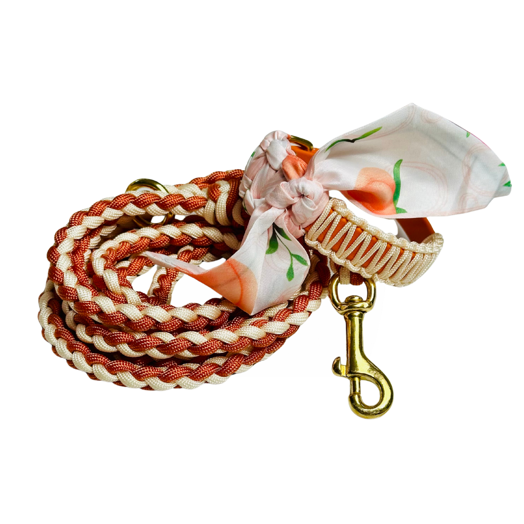 Nova halsband met bijpassende lijn - Peach