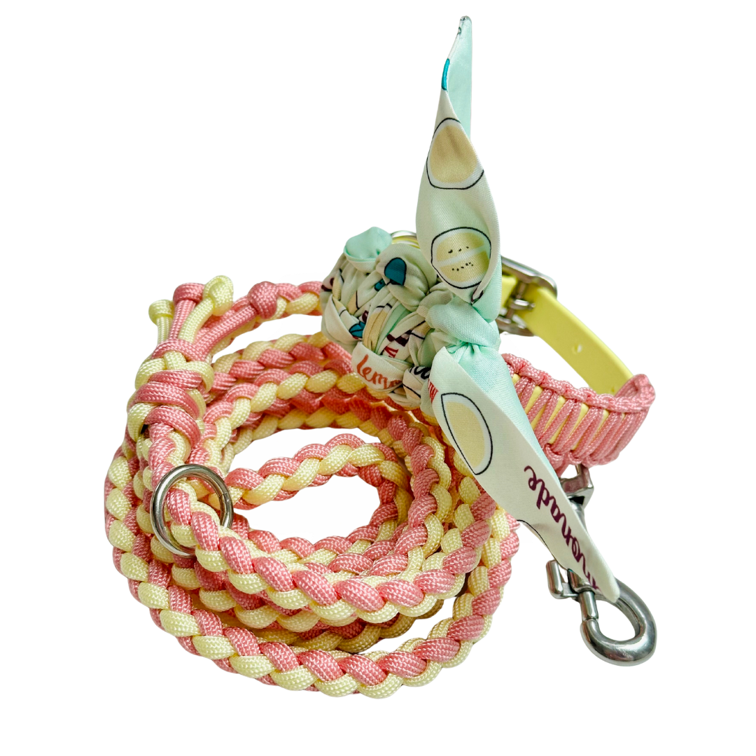 Nova halsband met bijpassende lijn - Candy