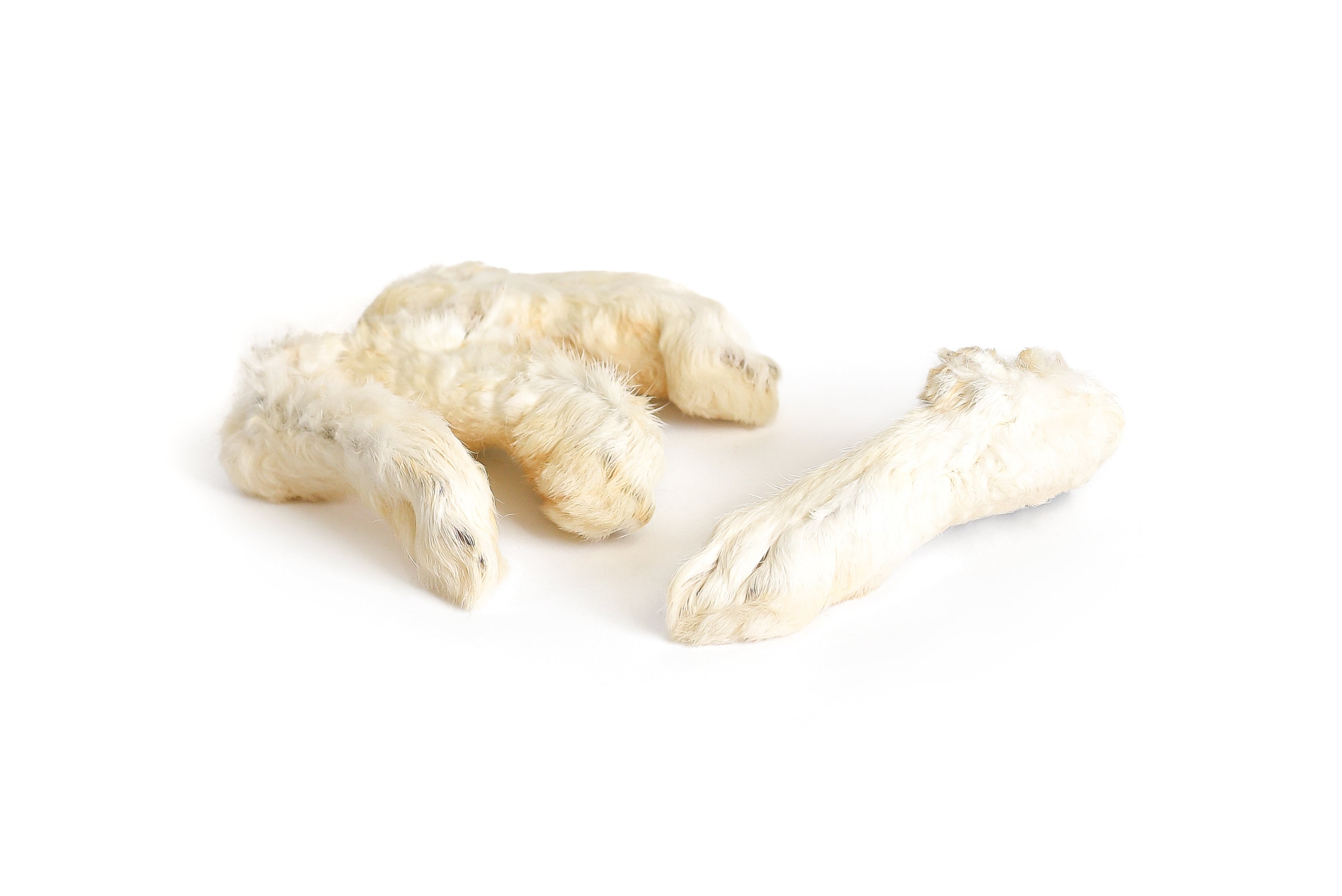 PALA DOG | CHEWING RABBIT FEET